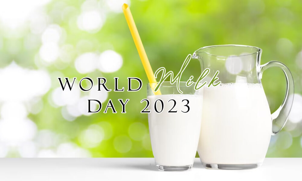 World Milk Day 2023: 5 tasty ways to add milk and dairy products to your diet