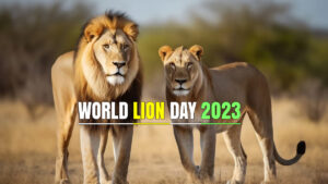 World's Lion Day 2023 Know Date, history, significance and celebration
