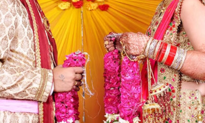 Matrimony Search Without Registration: Find Your Perfect Match Hassle-Free